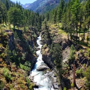 Meet your Posher, Darrell